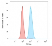 Flow cytometry testing of PFA-fixed human MCF7 cells with Human Nuclear Antigen antibody (clone 235-1); Red=isotype control, Blue= Human Nuclear Antigen antibody.