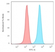Flow cytometry testing of PFA-fixed human HeLa cells with Human Nuclear Antigen antibody (clone 235-1); Red=isotype control, Blue= Human Nuclear Antigen antibody.