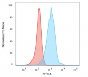 Flow cytometry testing of PFA-fixed human Jurkat cells with Human Nuclear Antigen antibody (clone 235-1); Red=isotype control, Blue= Human Nuclear Antigen antibody.