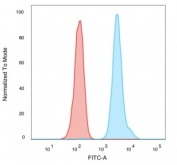 Flow cytometry testing of PFA-fixed human K562 cells with Human Nuclear Antigen antibody (clone 235-1); Red=isotype control, Blue= Human Nuclear Antigen antibody.