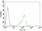 Intracellular FACS testing of human 293T cells with Human Nucleolar Antigen antibody (green), isotype control (black) and no primary (gray).