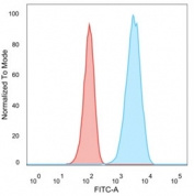 Flow cytometry testing of permeabilized human MCF7 cells with HER-2 antibody (clone ERB2/776); Red=isotype control, Blue= HER-2 antibody.