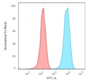 Flow cytometry testing of human Jurkat cells with CD3 antibody (clone B-B12); Red=isotype control, Blue= CD3 antibody.