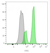 Flow cytometry staining of lymphocyte-gated human PBM cells with CF488A-labeled CD3e antibody (clone B-B12). Gray=unstained, Green=CF488A-CD3e antibody.