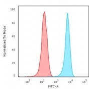 Flow cytometry testing of human Jurkat cells with CD3 antibody (clone RIV9); Red=isotype control, Blue= CD3 antibody.