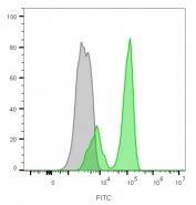 Flow cytometry testing of lymphocyte-gated human PBM cells with CF488A-CD3 antibody (clone RIV9); Gray=unstained, Green= CD3 antibody.