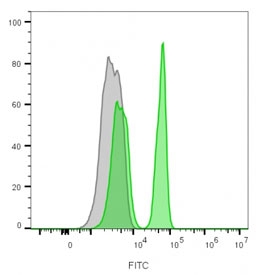 Flow cytometry staining of lymphocyte gated human PBM cells with CD4 antibody; Gray=unstained, Green= CD4 antibody.~