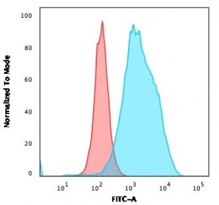 Flow cytometry testing of human Raji cells with anti-CD20 antibody (clone SPM618); Red=isotype control, Blue=