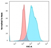 Flow cytometry testing of human Raji cells with CD20 antibody cocktail (clones L26 + IGEL/733); Red=isotype control, Blue= CD20 antibody cocktail.