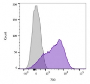Flow cytometry testing of live Jurkat cells with CD45 antibody (clone 136-4B5, purple), and unstained cells (gray).