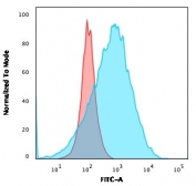 Flow cytometry testing of human Raji cells with CD20 antibody (clone SPM494); Red=isotype control, Blue= CD20 antibody.