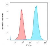 Flow cytometry staining of PFA-fixed human Jukat cells with CD45 antibody (clone 135-4C5); Red=isotype control, Blue= CD45 antibody.