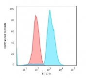 Flow cytometry testing of human Jurkat cells with anti-CD45 antibody (clone SPM568); Red=isotype control, Blue= anti-CD45 antibody.