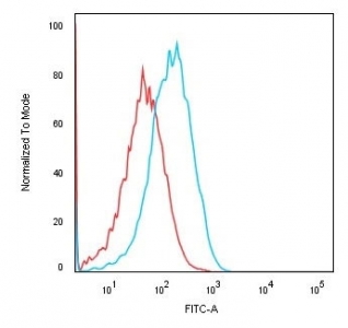 Flow cytometry testing of human HEK293 cells with Cadherin 16 antibody (clone CDH16/1071); Red=isotype control, Blue= Cadherin 16 antibody.