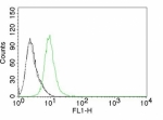 Flow cytometry testing of Jurkat cells. Black: cells alone; Grey: isotype control; Green: Alexa Fluor 488-labeled p27Kip1 antibody (clone KIP1/769).