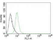 Flow cytometry testing of permeabilized human Jurkat cells. Black: cells alone; Grey: isotype control; Green: p27Kip1 antibody (clone KIP1/769).