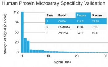 Analysis of HuProt(TM) microarray containing more than 19,000 full-length human proteins using Chromogranin A antibody (clone CHGA/798). These results demonstrate the foremost specificity of the CHGA/798 mAb.<br>Z- and S- score: The Z-score represents the strength of a signal that an antibody (in combination with a fluorescently-tagged anti-IgG secondary Ab) produces when binding to a particular protein on the HuProt(TM) array. Z-scores are described in units of standard deviations (SD's) above the mean value of all signals generated on that array. If the targets on the HuProt(TM) are arranged in descending order of the Z-score, the S-score is the difference (also in units of SD's) between the Z-scores. The S-score therefore represents the relative target specificity of an Ab to its intended target.