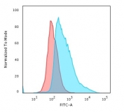 Flow cytometry testing of PFA-fixed human MCF7 cells with TOP1MT antibody (clone TOP1MT/488); Red=isotype control, Blue= TOP1MT antibody.