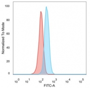 Flow cytometry testing of PFA-fixed human HeLa cells with CCR5 antibody (clone 12D1); Red=isotype control, Blue= CCR5 antibody.