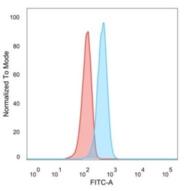 Flow cytometry testing of human U-87 MG cells with CCR5 antibody (clone 12D1); Red=isotype control, Blue= CCR5 antibody.