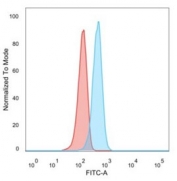 Flow cytometry testing of human U-87 MG cells with CCR5 antibody (clone 12D1); Red=isotype control, Blue= CCR5 antibody.