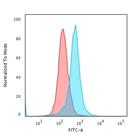 Flow cytometry testing of PFA-fixed human K562 cells with Calponin antibody (clone CALP); Red=isotype control, Blue= Calponin antibody.