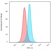 Flow cytometry testing of PFA-fixed human K562 cells with Calponin antibody (clone SPM169); Red=isotype control, Blue= Calponin antibody.