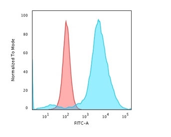 SDS-PAGE Analysis of Purified, BSA-Free CD55 Antibody (clone 143-30). Confirmation of Integrity and Purity of the Antibody.