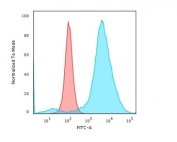 Flow cytometry testing of PFA-fixed human HeLa cells with CD55 antibody (clone 143-30); Red=isotype control, Blue= CD55 antibody.