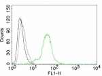 Flow cytometry testing of BT474 cells. Black: cells alone; Grey: isotype control; Green: AF488-labeled Estrogen Receptor beta antibody (ESR2/686).