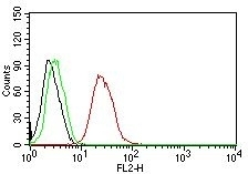 Flow cytometry testing of MCF-7 cells. Black: cells alone; Green: isotype control; Red: PE-labeled Estrogen Receptor beta antibody (ESR2/686).