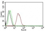 Flow cytometry testing of MCF-7 cells. Black: cells alone; Green: isotype control; Red: PE-labeled Estrogen Receptor beta antibody (ESR2/686).