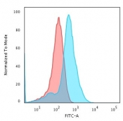 Flow cytometry testing of methanol-fixed human HepG2 cells with Glypican-3 antibody (clone 1G12); Red=isotype control, Blue= Glypican-3 antibody.