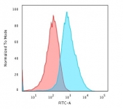 Flow cytometry testing of PFA-fixed human HepG2 cells with Glypican-3 antibody (clone GPC3/863); Red=isotype control, Blue= Glypican-3 antibody.