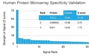 Analysis of HuProt(TM) microarray containing more than 19,000 full-length human proteins using TOX3 antibody (clone TOX3/1123). These results demonstrate the foremost specificity of the TOX3/1123 mAb. Z- and S- score: The Z-score represents the strength of a signal that an antibody (in combination with a fluorescently-tagged anti-IgG secondary Ab) produces when binding to a particular protein on the HuProt(TM) array. Z-scores are described in units of standard deviations (SD's) above the mean value of all signals generated on that array. If the targets on the HuProt(TM) are arranged in descending order of the Z-score, the S-score is the difference (also in units of SD's) between the Z-scores. The S-score therefore represents the relative target specificity of an Ab to its intended target.