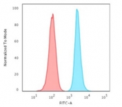Flow cytometry testing of fixed human HeLa cells with Histone antibody (clone 1415-1); Red=isotype control, Blue= Histone antibody.