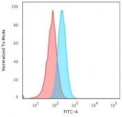 Flow cytometry testing of human Raji cells with HLA-A antibody (clone 108-2C5); Red=isotype control, Blue= HLA-A antibody.