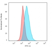 Flow cytometry testing of human Raji cells with HLA-DQ antibody (clone SPV-L3); Red=isotype control, Blue= HLA-DQ antibody.