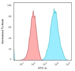 Flow cytometry testing of human Raji cells with HLA-DRB1 antibody (clone SPM289); Red=isotype control, Blue= HLA