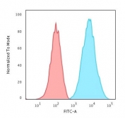 Flow cytometry testing of human Raji cells with HLA-DRB1 antibody (clone SPM288); Red=isotype control, Blue= HLA-DRB1 antibody.