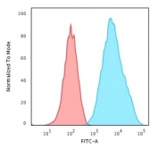 FACS staining of Raji cells with HLA-DRB1 antibody (clone HLA-DRB/1067); Red=isotype control, Blue= HLA-DRB1 antibody.