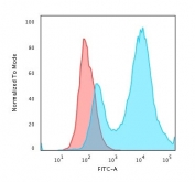 Flow cytometry testing of PFA-fixed human MCF7 cells with HSP27 antibody (clone HSPB1/774); Red=isotype control, Blue= HSP27 antibody.