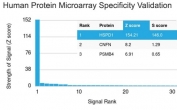 Analysis of HuProt(TM) microarray containing more than 19,000 full-length human proteins using HSP60 antibody (clone HSPD1/875). These results demonstrate the foremost specificity of the HSPD1/875 mAb. Z- and S- score: The Z-score represents the strength of a signal that an antibody (in combination with a fluorescently-tagged anti-IgG secondary Ab) produces when binding to a particular protein on the HuProt(TM) array. Z-scores are described in units of standard deviations (SD's) above the mean value of all signals generated on that array. If the targets on the HuProt(TM) are arranged in descending order of the Z-score, the S-score is the difference (also in units of SD's) between the Z-scores. The S-score therefore represents the relative target specificity of an Ab to its intended target.