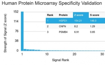 Analysis of HuProt(TM) microarray containing more than 19,000 full-length human proteins using HSP60