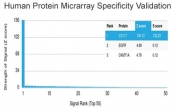 Analysis of HuProt(TM) microarray containing more than 19,000 full-length human proteins using c-Kit antibody (clone KIT/982). These results demonstrate the foremost specificity of the KIT/982 mAb. Z- and S- score: The Z-score represents the strength of a signal that an antibody (in combination with a fluorescently-tagged anti-IgG secondary Ab) produces when binding to a particular protein on the HuProt(TM) array. Z-scores are described in units of standard deviations (SD's) above the mean value of all signals generated on that array. If the targets on the HuProt(TM) are arranged in descending order of the Z-score, the S-score is the difference (also in units of SD's) between the Z-scores. The S-score therefore represents the relative target specificity of an Ab to its intended target.