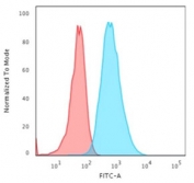 Flow cytometry testing of PFA-fixed human HeLa cells with Cytokeratin 7 antibody (clone OV-TL12/30); Red=isotype control, Blue= recombinant Cytokeratin 7 antibody.