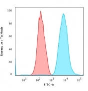 Flow cytometry testing of Me-OH fixed human HeLa cells with Keratin 7 antibody (clone SPM270); Red=isotype control, Blue= Keratin 7 antibody.