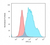 Flow cytometry testing of PFA-fixed human HeLa cells with Cytokeratin 7 antibody (clone K72.7); Red=isotype control, Blue= recombinant Cytokeratin 7 antibody.