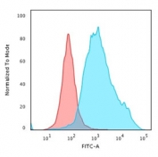 Flow cytometry testing of PFA-fixed human HeLa cells with Cytokeratin 7 antibody (clone KRT7/760); Red=isotype control, Blue= recombinant Cytokeratin 7 antibody.