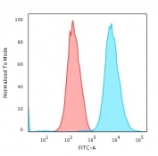 Flow cytometry testing of MeOH fixed human HeLa cells with Cytokeratin 18 antibody (clone DE-K18); Red=isotype control, Blue= Cytokeratin 18 antibody.